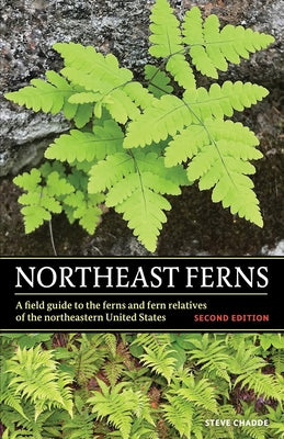 Book cover for Northeast Ferns: A Field Guide to the Ferns and Fern Relatives of the Northeastern United States