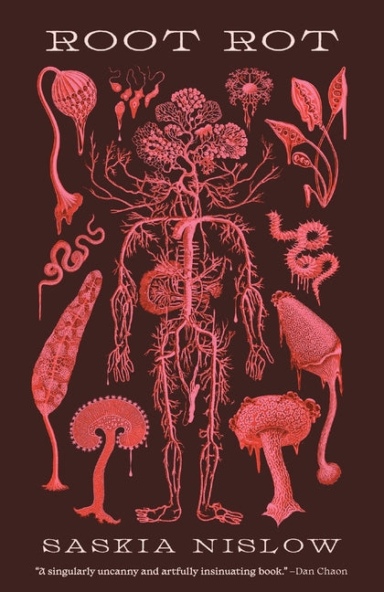 Book cover for Root Rot