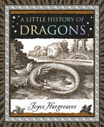 Book cover for Little History of Dragons