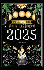 Book cover for Planner for a Magical 2025: Full Color