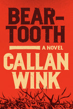 Book cover for Beartooth