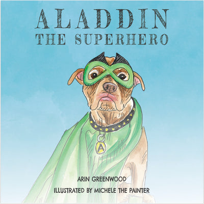 Book cover for Aladdin the Superhero