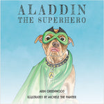 Book cover for Aladdin the Superhero