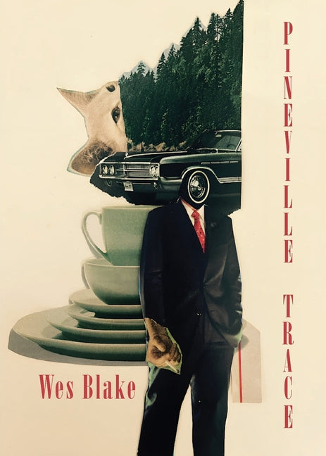 Book cover for Pineville Trace
