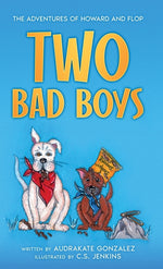 Book cover for Two Bad Boys