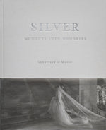 Book cover for Silver: Moments Into Memories