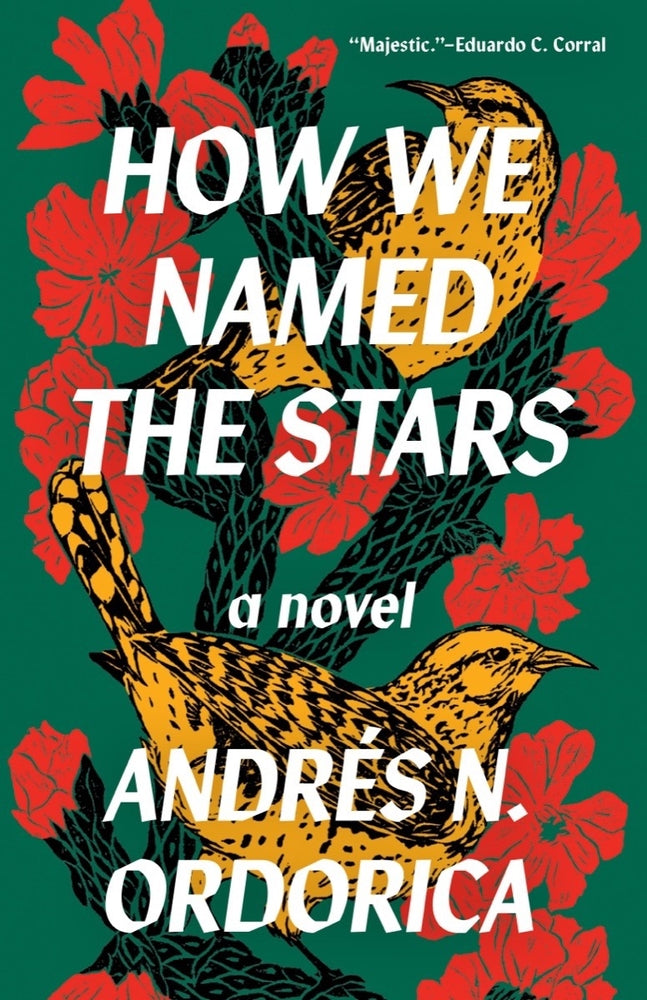 Book cover for How We Named the Stars