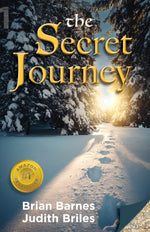 Book cover for The Secret Journey