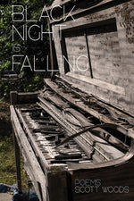 Book cover for Black Night Is Falling