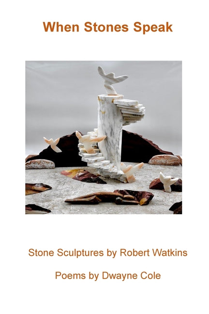 Book cover for When Stones Speak