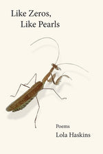 Book cover for Like Zeros, Like Pearls