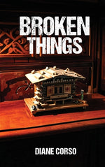 Book cover for Broken Things