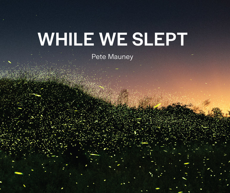 Book cover for While We Slept