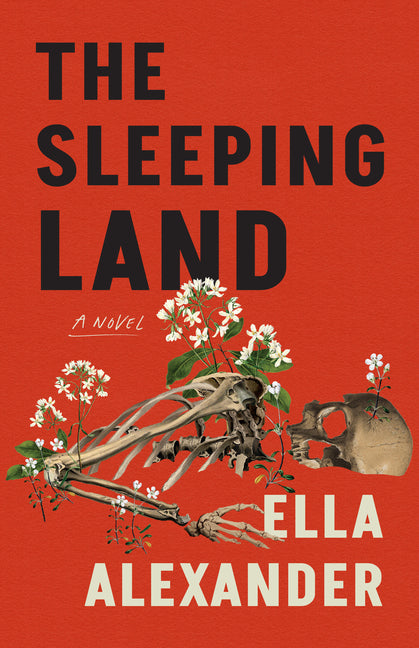 Book cover for Sleeping Land