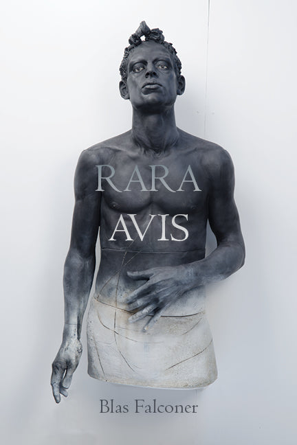 Book cover for Rara Avis