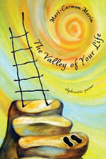 Book cover for Valley of Your Life