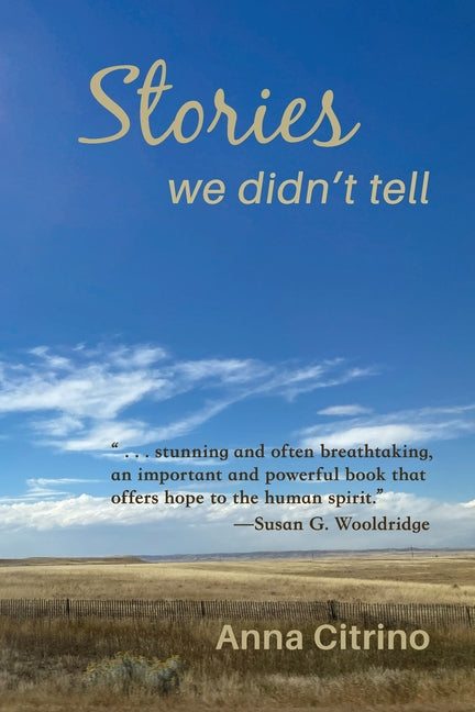 Book cover for Stories We Didn't Tell