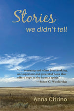 Book cover for Stories We Didn't Tell