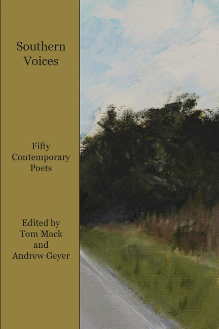 Book cover for Southern Voices