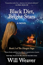 Book cover for Black Dirt, Bright Stars