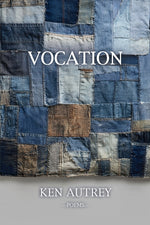 Book cover for Vocation
