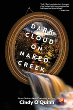 Book cover for Dark Cloud on Naked Creek