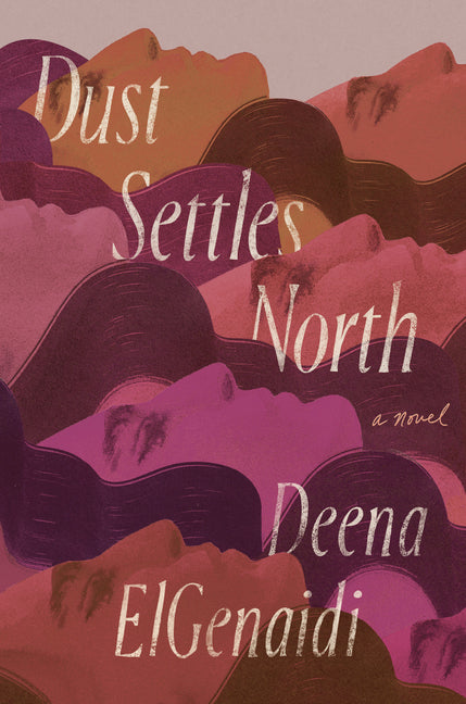 Book cover for Dust Settles North