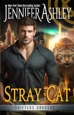 Book cover for Stray Cat