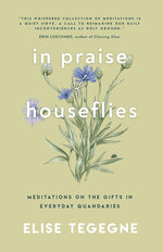 Book cover for In Praise of Houseflies: Meditations on the Gifts in Everyday Quandaries