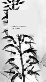 Book cover for Wild Things: A Geography of Grief