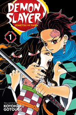 Book cover for Demon Slayer: Kimetsu No Yaiba, Vol. 1