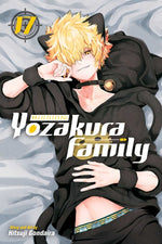 Book cover for Mission: Yozakura Family, Vol. 17