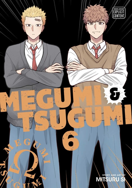 Book cover for Megumi & Tsugumi, Vol. 6