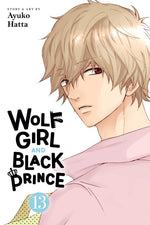 Book cover for Wolf Girl and Black Prince, Vol. 13