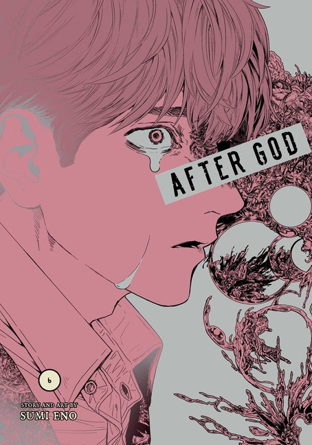 Book cover for After God, Vol. 6