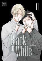 Book cover for Black or White, Vol. 11