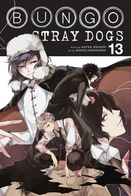 Book cover for Bungo Stray Dogs, Vol. 13