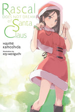 Book cover for Rascal Does Not Dream of Santa Claus (Light Novel)