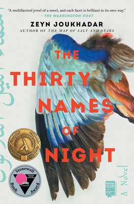 Book cover for The Thirty Names of Night