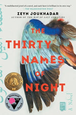 Book cover for The Thirty Names of Night