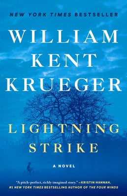 Book cover for Lightning Strike