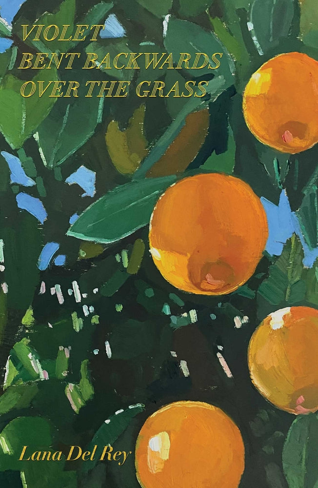 Book cover for Violet Bent Backwards Over the Grass