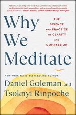 Book cover for Why We Meditate: The Science and Practice of Clarity and Compassion