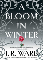 Book cover for Bloom in Winter