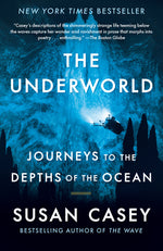 Book cover for Underworld: Journeys to the Depths of the Ocean