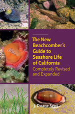 Book cover for New Beachcomber's Guide to Seashore Life of California: Completely Revised and Expanded