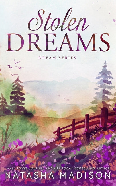 Book cover for Stolen Dreams: A single dad, workplace, enemies to lovers, age gap romance (Dream Series Book 4)