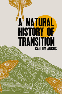 Book cover for A Natural History of Transition