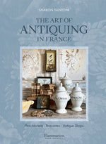 Book cover for Art of Antiquing in France: Flea Markets - Brocantes - Antique Shops