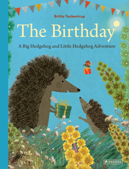 Book cover for Birthday: A Big Hedgehog and Little Hedgehog Adventure